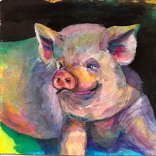 Mojo, A colorful Pig
