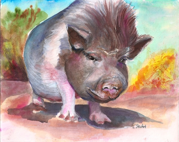 Casey Burns, Watercolor Pig Painting